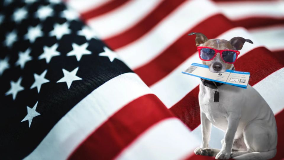 Visa para mascotas