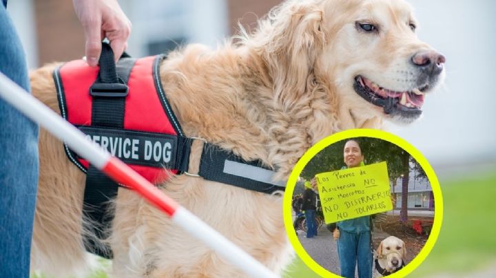 Hotel de Monterrey niega acceso a joven invidente con perrito guía; 'reglamento no permite mascotas'
