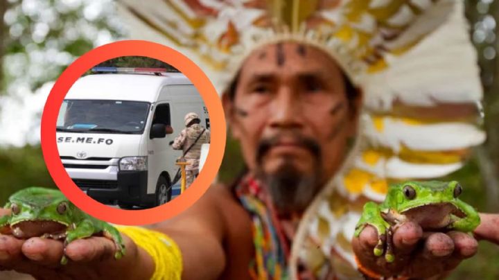 Mujer muere tras ingerir veneno de rana en retiro espiritual; era guiada por un chamán