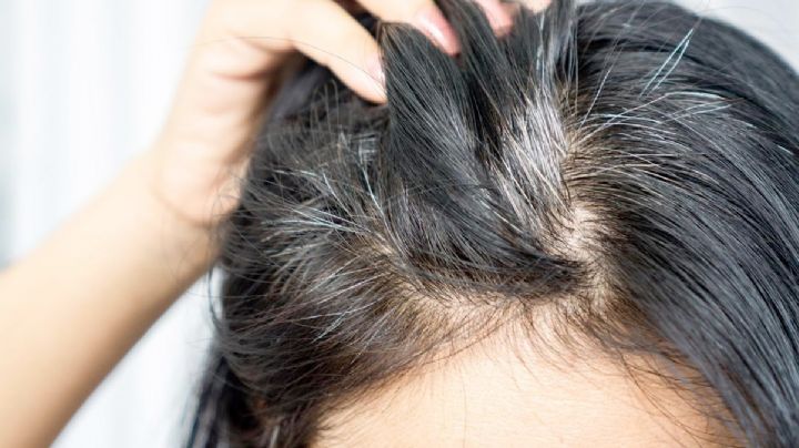 Este shampoo fue avalado por Profeco como el mejor para disimular las canas