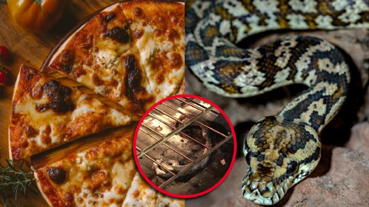 ¡Pizza sorpresa! Familia encuentra serpiente asada en el horno junto con la cena | FOTOS