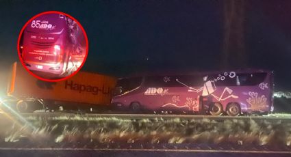 Seis muertos en fatal carreterazo; autobús y tráiler chocaron aparatosamente