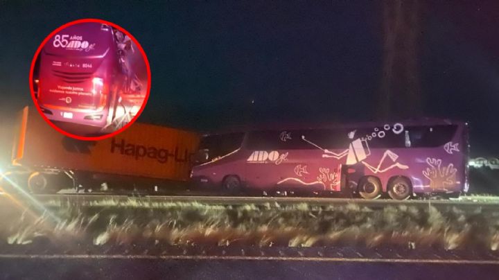 Seis muertos en fatal carreterazo; autobús y tráiler chocaron aparatosamente