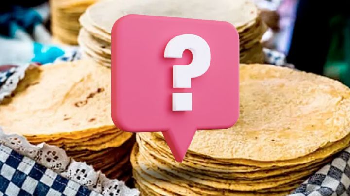 ¿Es bueno comer tortillas todos los días?; lo que realmente le pasa a tu cuerpo si comes diario