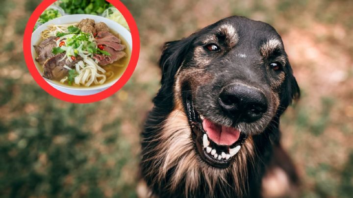 Muere de rabia dueño de restaurante de carne de perro y gato; echaba espuma por la boca