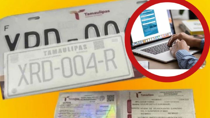 Tamaulipas: así podrás pagar las placas y derechos vehiculares en internet