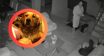 Perro dice ‘hola’, aterroriza a su dueño y lo persigue al ver su reacción; ¿realmente habló? | VIDEO