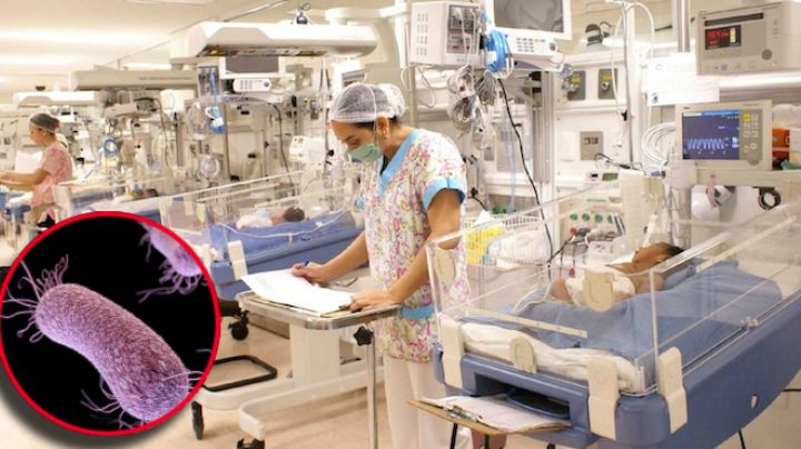 Sheinbaum confirma suspensión de empresa de alimentos tras muerte de niños por brote de Klebsiella