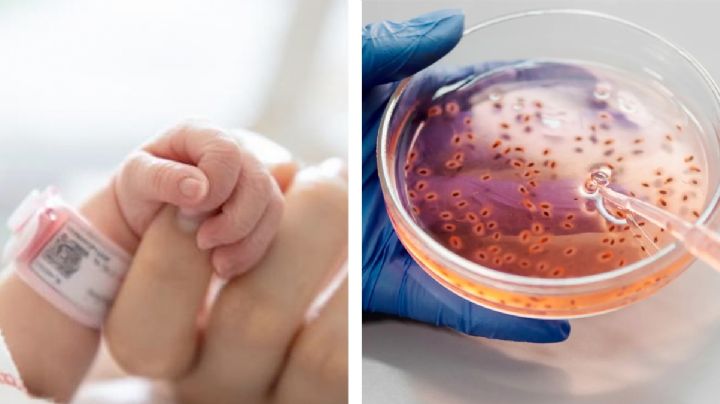 Klebsiella oxytoca, la bacteria que mató a 13 bebés, fue inoculada mediante soluciones contaminadas