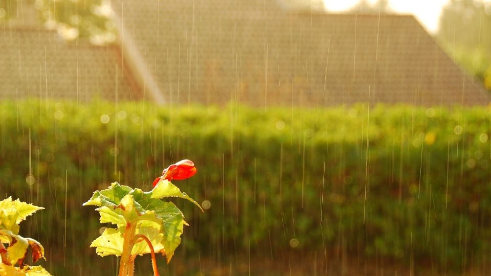 Prepare su paraguas, pues las lluvias vendrán a refrescar el calor que ya se empieza a sentir en la región