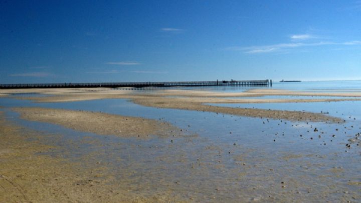 ¿Sin planes para el 'Spring Break'? Conoce las mejores playas de Texas, según Tripadvisor