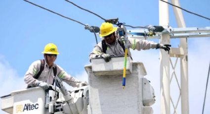 CFE: 5 actividades que los trabajadores no pueden hacer; serían despedidos