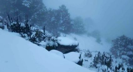 Nieve en México: reportan varias nevadas en el país por el frente frío 35 | VIDEOS