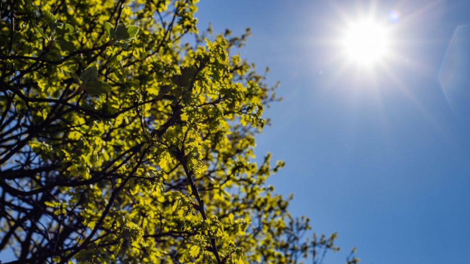 Hará calor en Nuevo Laredo la próxima semana