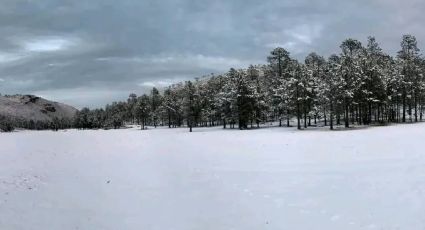 Cae nieve en Tamaulipas: Miquihuana se viste de hermosos paisajes invernales | VIDEO/FOTOS