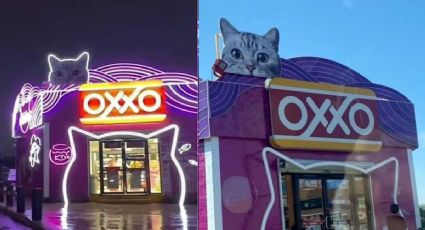 ¿Dónde está el 'Michi Oxxo'?, tienda felina para los amantes de los gatos