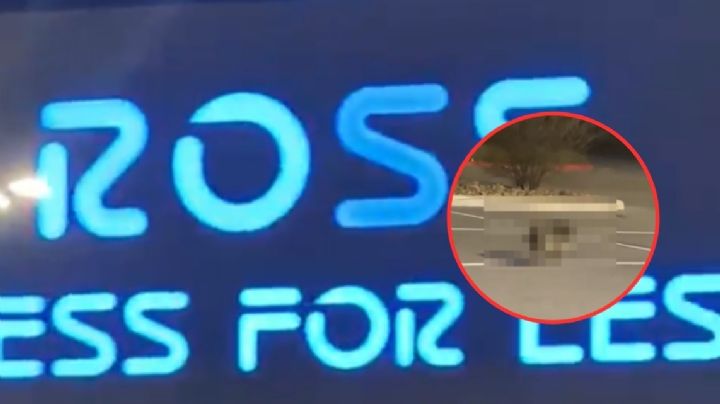 Ross Dress for Less: captan a salvaje y 'peculiar cliente' en su estaciomiento