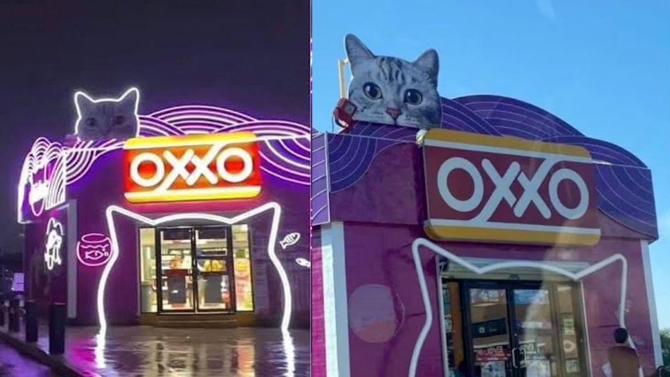 El Michi Oxxo, tienda con temática de gatitos