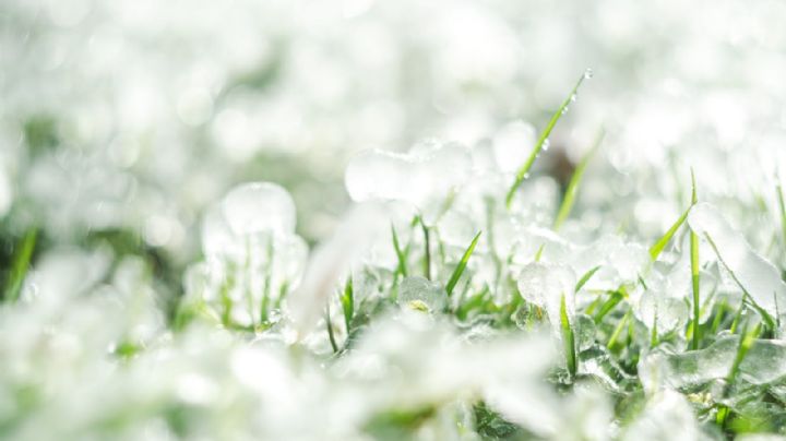 Prepárese, alertan en Texas por posibles tornados y granizo en el centro sur