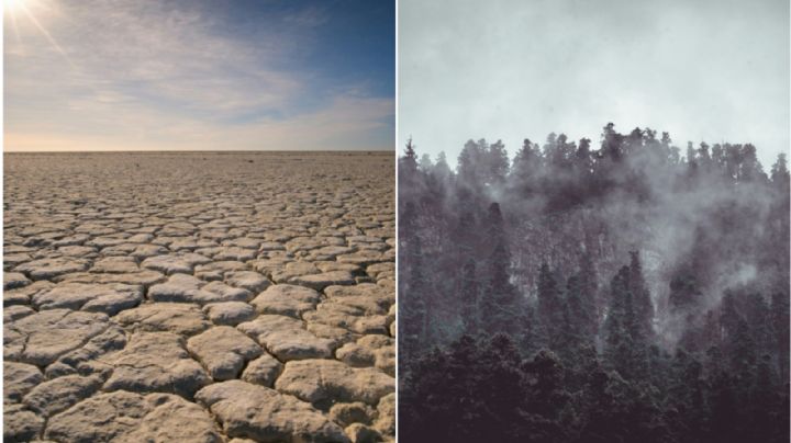 ¿Qué es el fenómeno climático de La Niña y por qué podría registrarse?