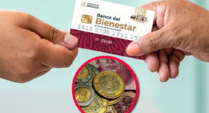 Pensión del Bienestar: así pueden obtenerla los que tienen de 28 a 59 años