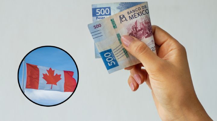 Visa canadiense 2024: ¿cuánto cuesta y qué requisitos debes cumplir?