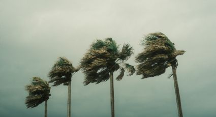 Vienen fuertes vientos; hay riesgo de incendios en Nuevo Laredo