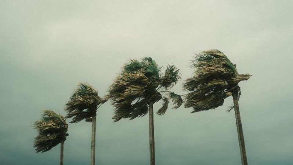 Las rachas de viento podrían alcanzar hasta los 80 kilómetros por hora.