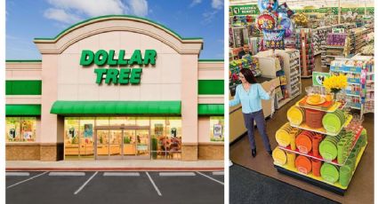 Dollar Tree: lo que no sabías que vendían en la tienda