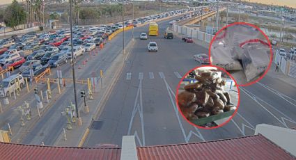 Incauta CBP en Puentes Internacionales 377 mil 984 dólares en drogas