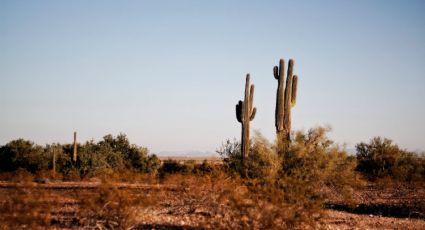 Clima de Texas: prevén calorón estos próximos días; luego llegarían las lluvias