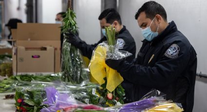 San Valentín: ¿se pueden ingresar flores a Estados Unidos por los puentes internacionales?