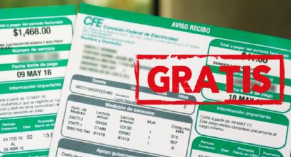 CFE: recibo de luz gratis en marzo; ¿quiénes no pagarán?