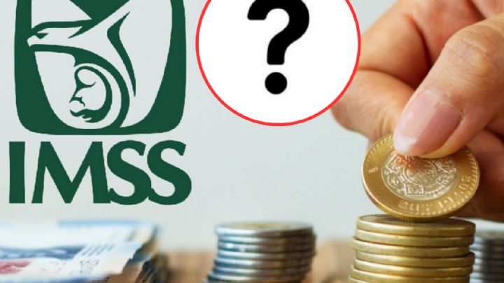IMSS 2024: ¿cómo obtener una pensión de por vida, si naciste antes del 79?