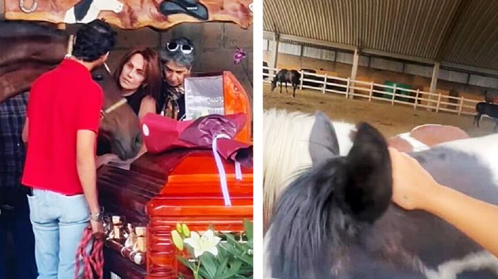 Hasta los caballos de Cuacolandia lloraron al despedir a Elena Larrea en su funeral