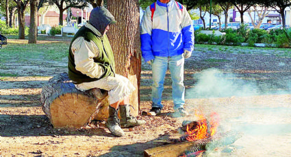 Este invierno fue el más cálido desde 1948 en los dos Laredos