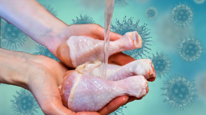 ¿Cuáles son los riesgos de lavar el pollo crudo?, esto dicen autoridades de EU 
