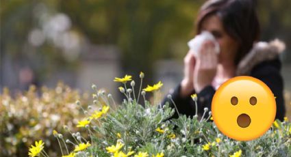 Primavera: así puedes tratar las alergias causadas por el cambio de temporada