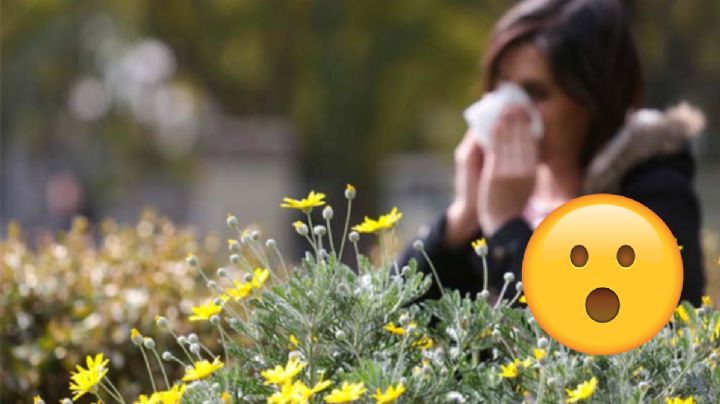 Primavera: así puedes tratar las alergias causadas por el cambio de temporada