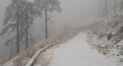 Se registran nevadas en el norte de México en plena primavera