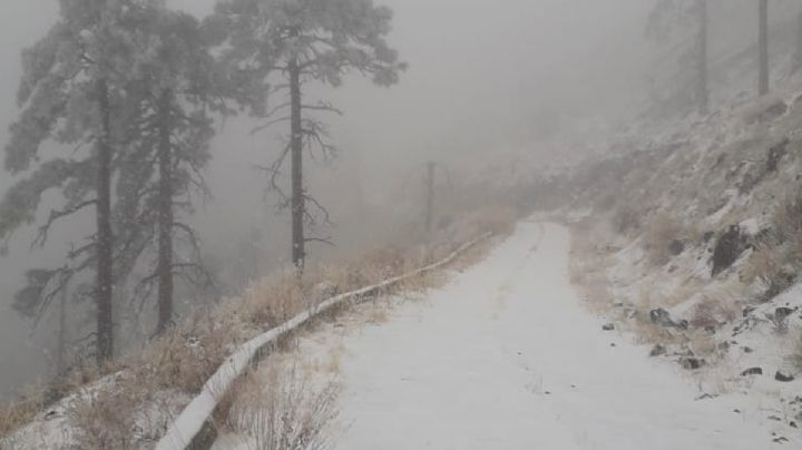 Se registran nevadas en el norte de México en plena primavera