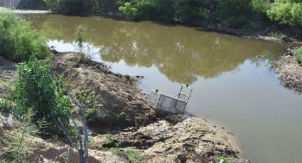 Instalan trampa para cocodrilos en el Laguito de Nuevo Laredo