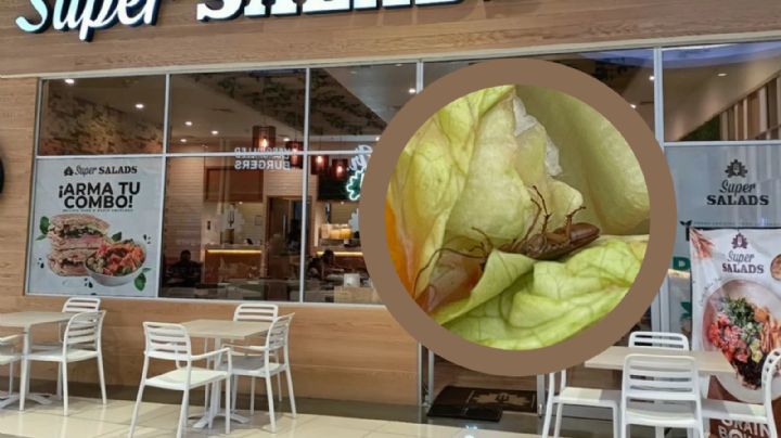 'Urge una buena fumigación': cliente halla enorme cucaracha en comida de Super Salads