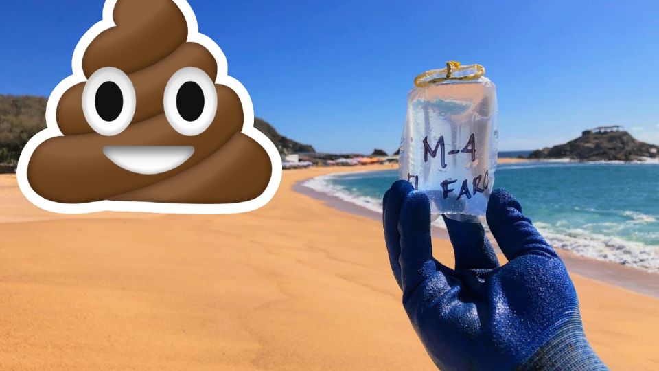 Alertan por alta contaminación en algunas playas de México