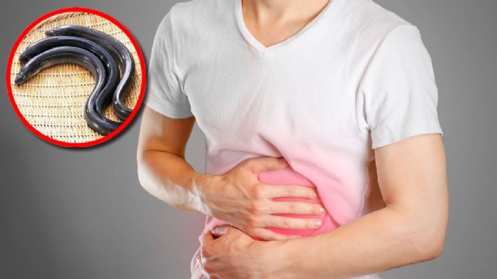 Médicos extraen anguila viva del estómago de un hombre; no quiso explicar cómo llegó hasta ahí
