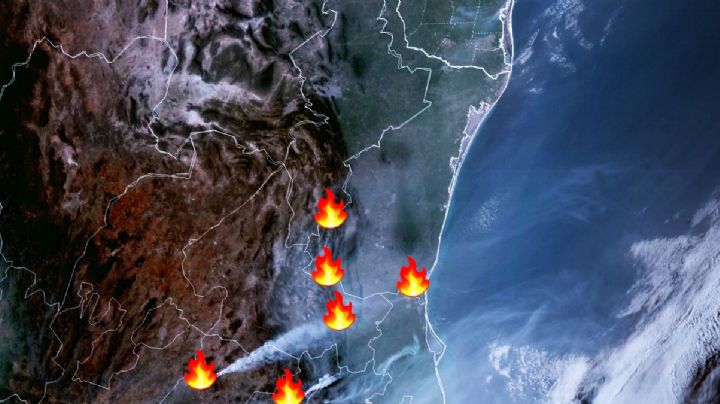 Semana Santa infernal: 130 incendios forestales sofocan México, tres muy intensos en Tamaulipas