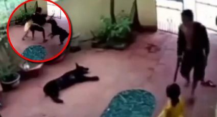 Perrito finge estar muerto y le salva la vida a niña secuestrada | VIDEO