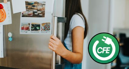 CFE: estos estados pueden aplicar para comprar a crédito un refrigerador nuevo