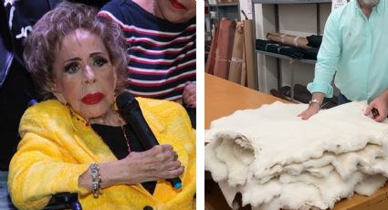 Silvia Pinal, sigue grave por usar una zalea de borrego para curar sus llagas