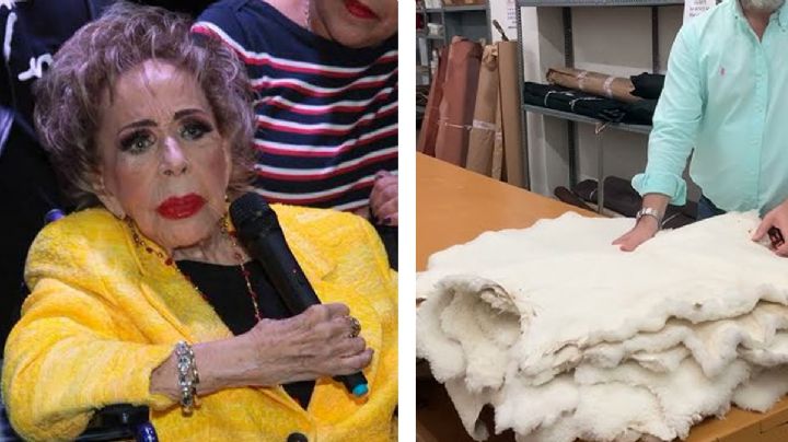 Silvia Pinal, sigue grave por usar una zalea de borrego para curar sus llagas